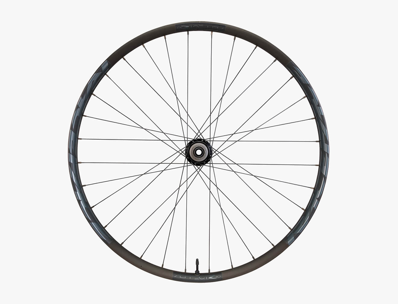 Aeffect R eMTB Wheel