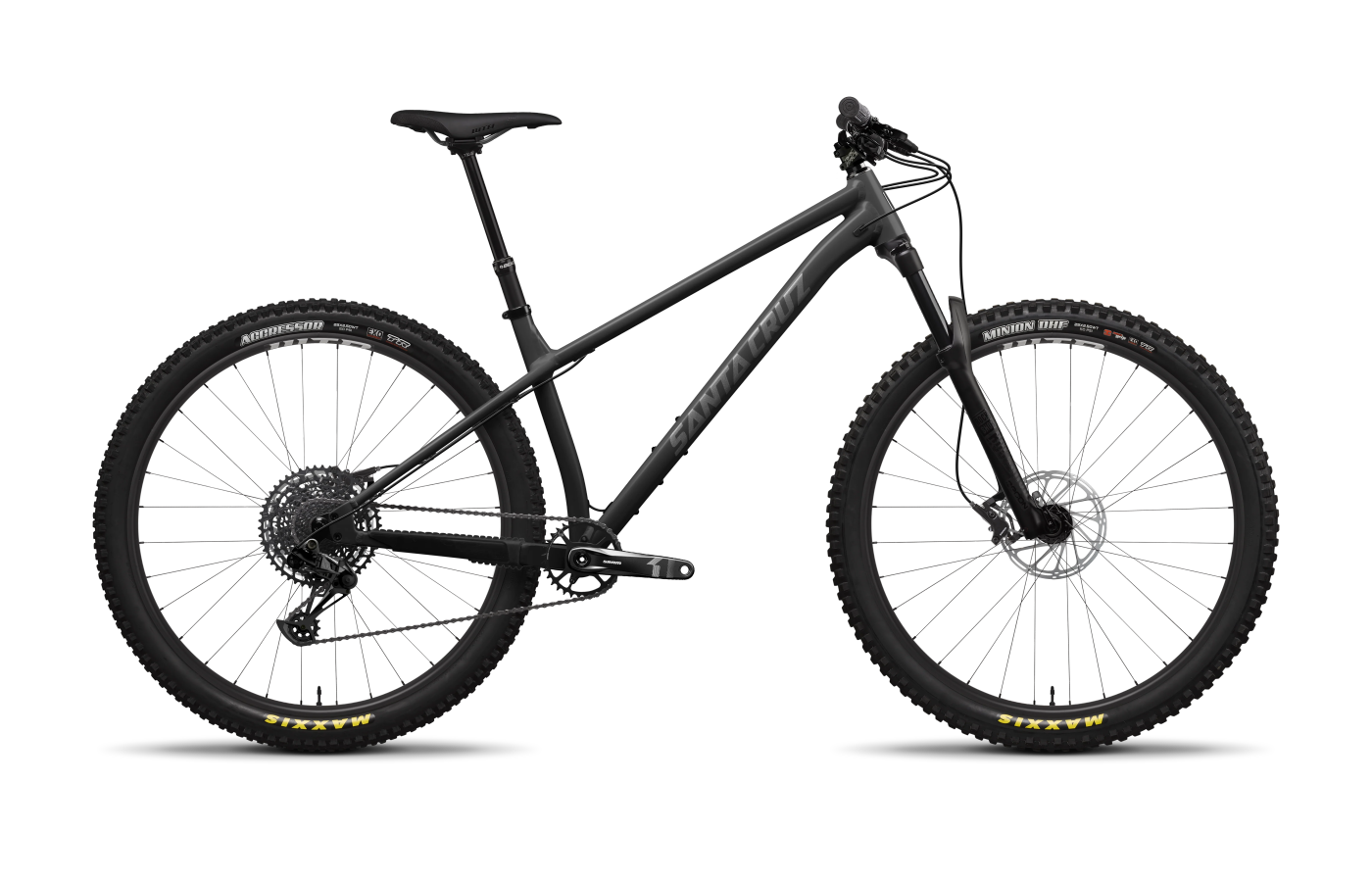 Santa Cruz Chameleon