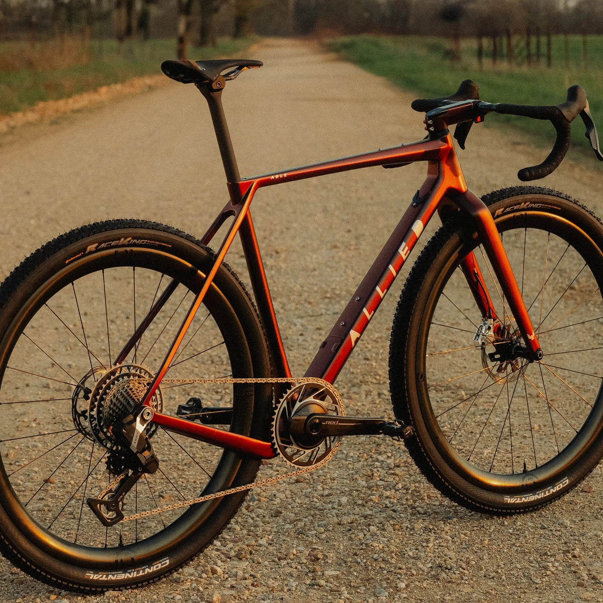 Allied Able Review – Sports Garage