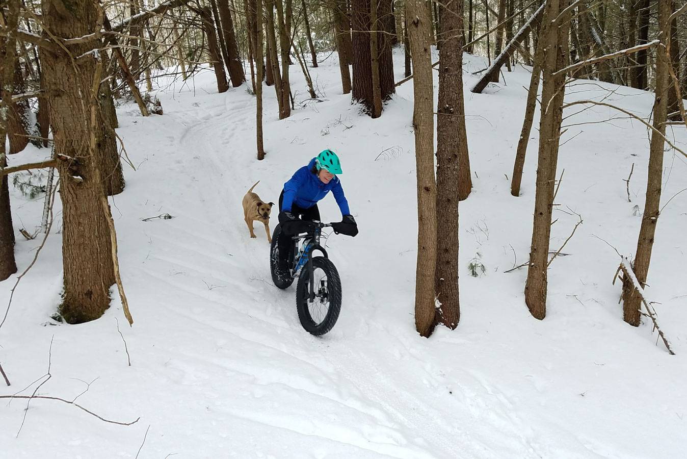 The Best Fat Tire Bikes of 2025