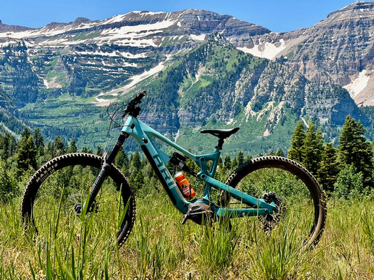 Is The Ari Timp Peak A Playful Pony Or A Brawling Bash And Smash Bike?