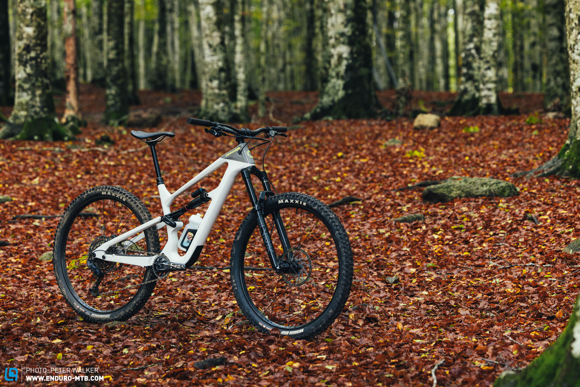 The Cannondale Habit LT 1 – In our big 2024 trail bike ...