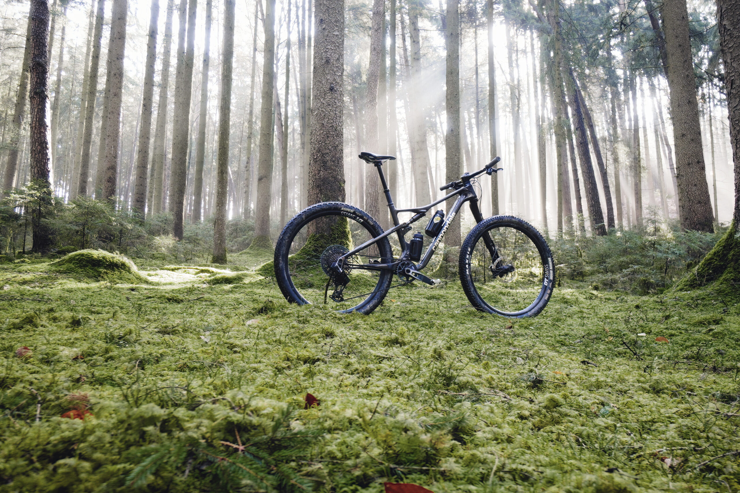 Cannondale Scalpel 2024 Review