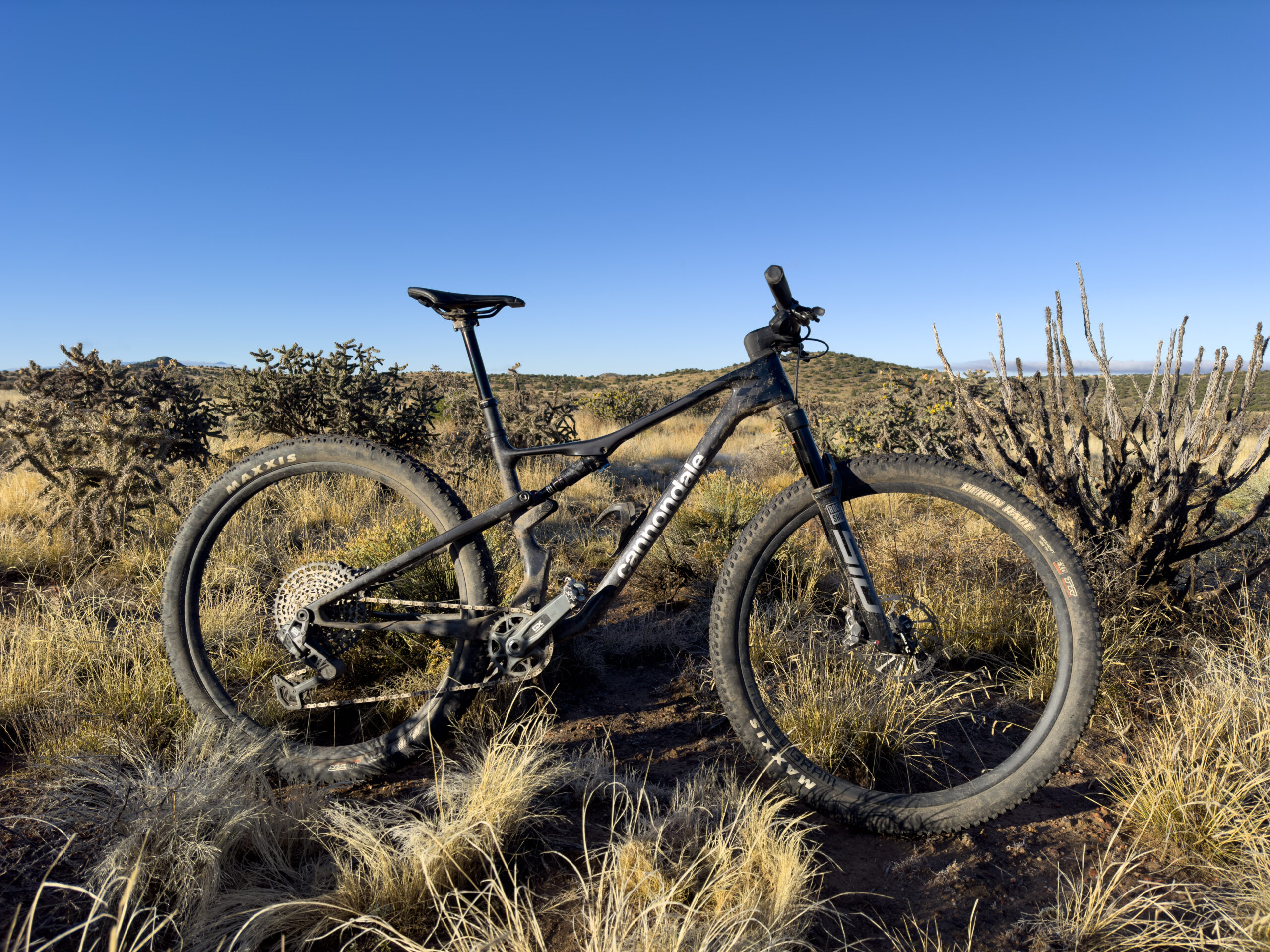 Cannondale Scalpel - Blister Review