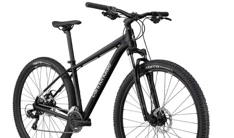 Review of Cannondale Trail 8 - Here's Why We Love This Model
