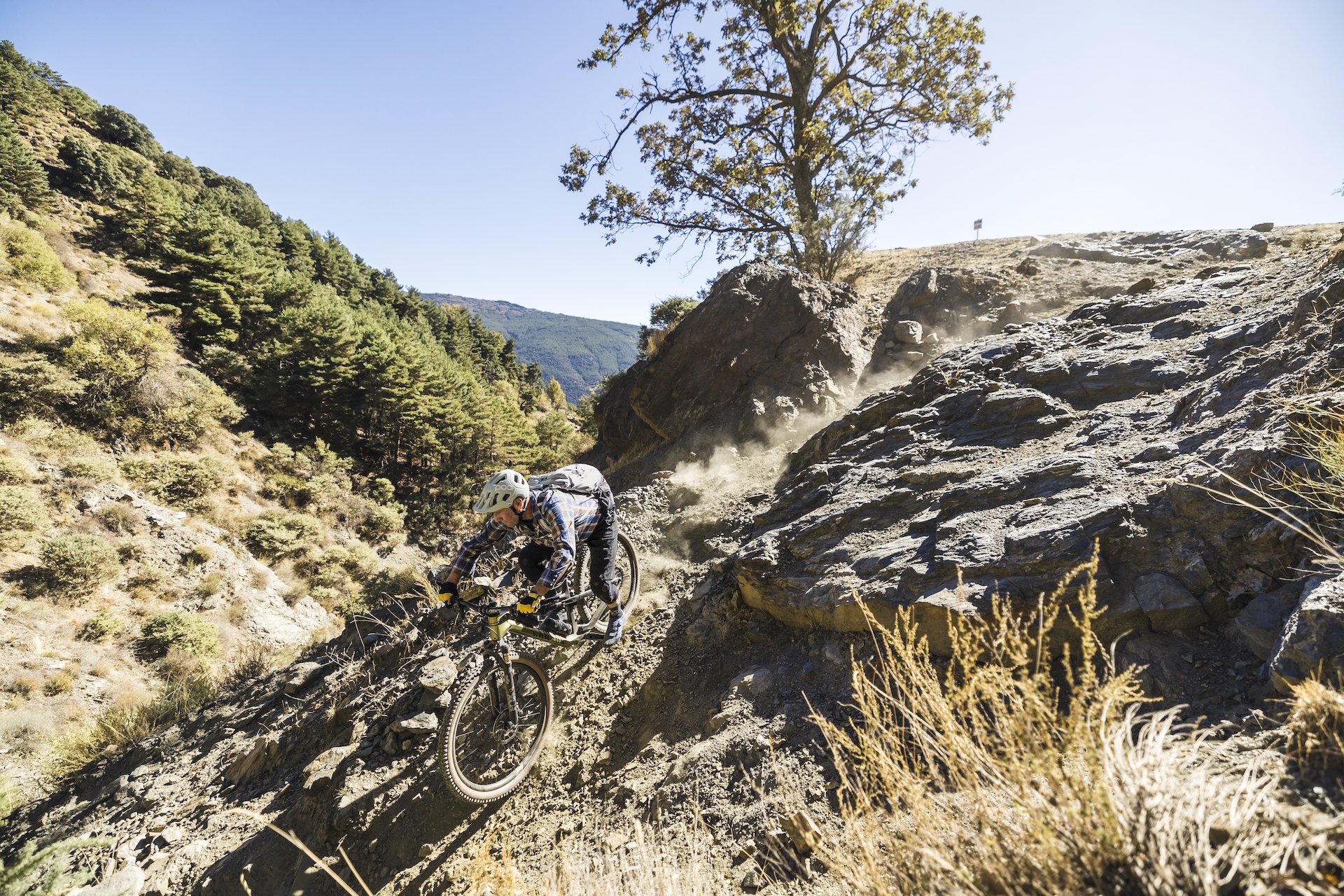 NSMB.com - Canyon Neuron CF9 SL