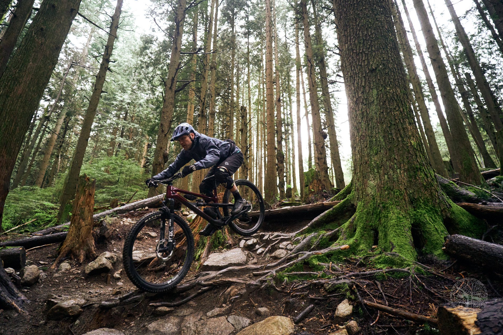 2022 Canyon Spectral 125 CF 8 Review