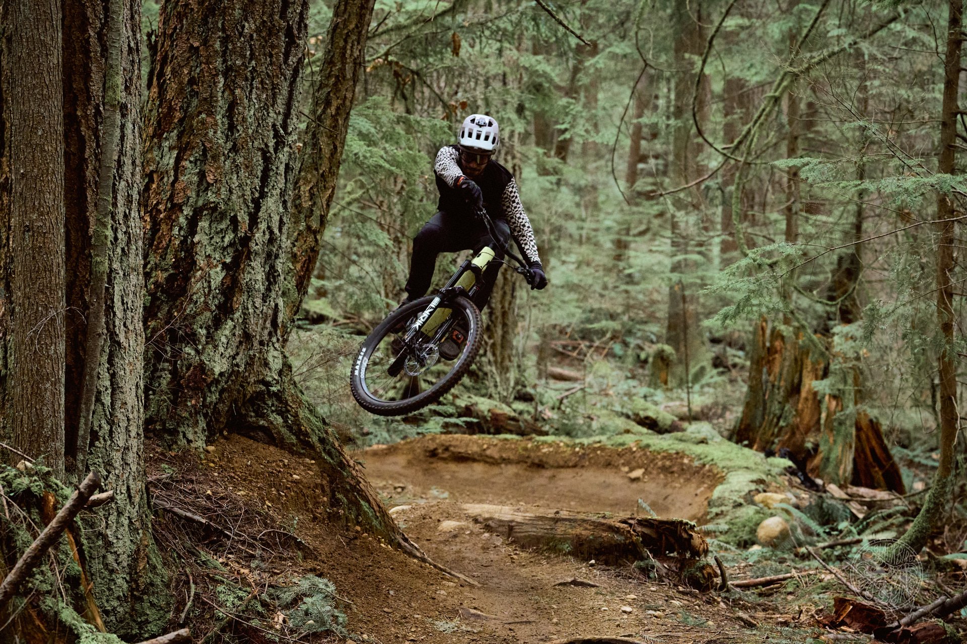 2024 Canyon Spectral Review