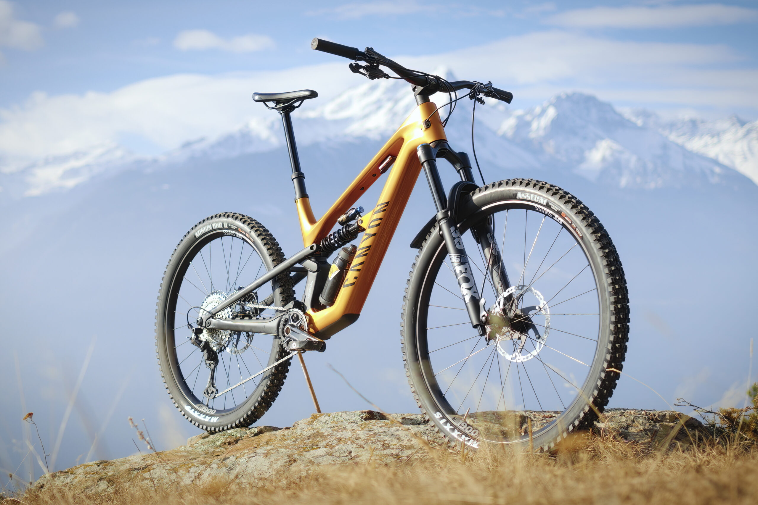 Canyon Spectral CF 2024 Review