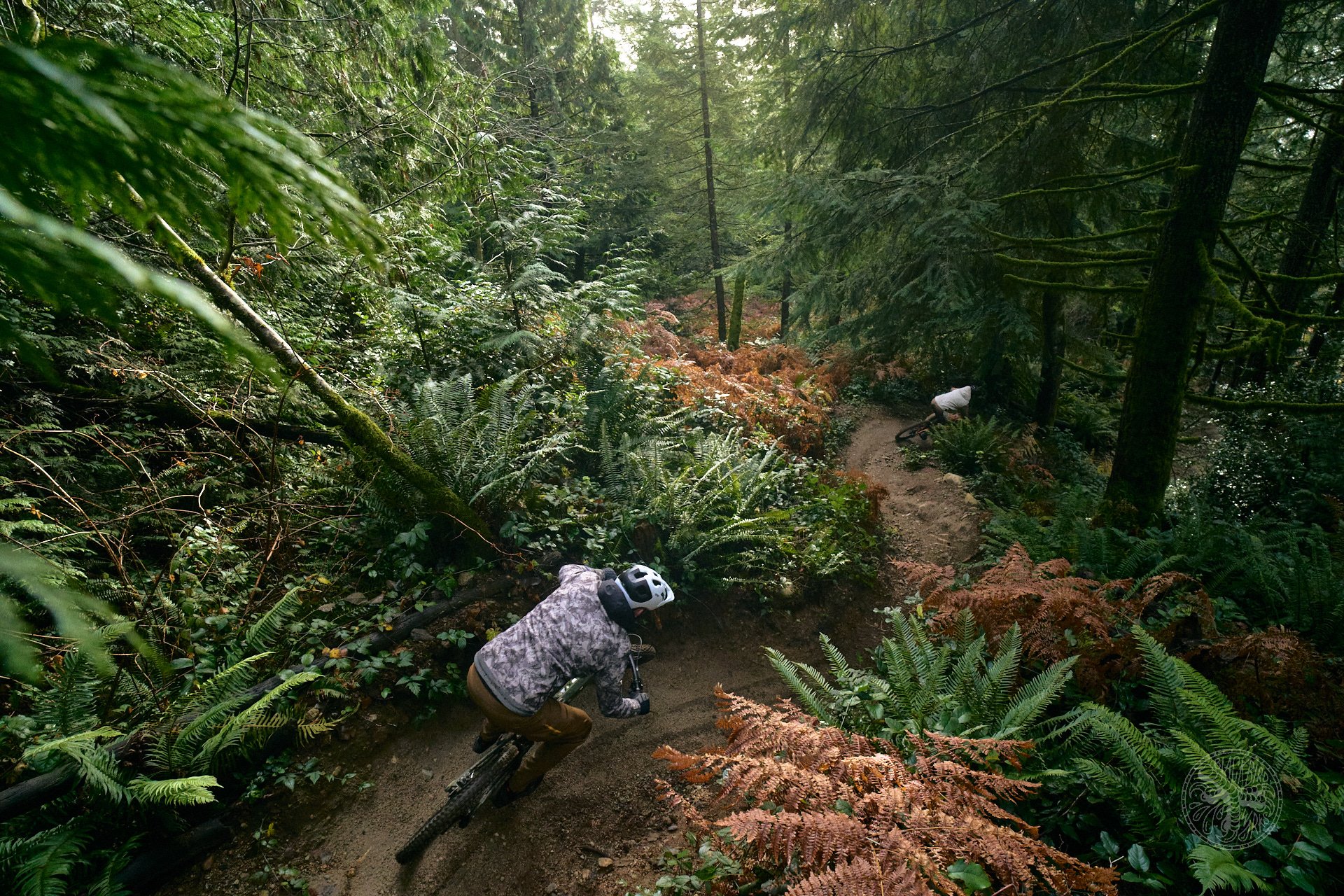 2026 Devinci E-Spartan Lite Long Term - NSMB.com