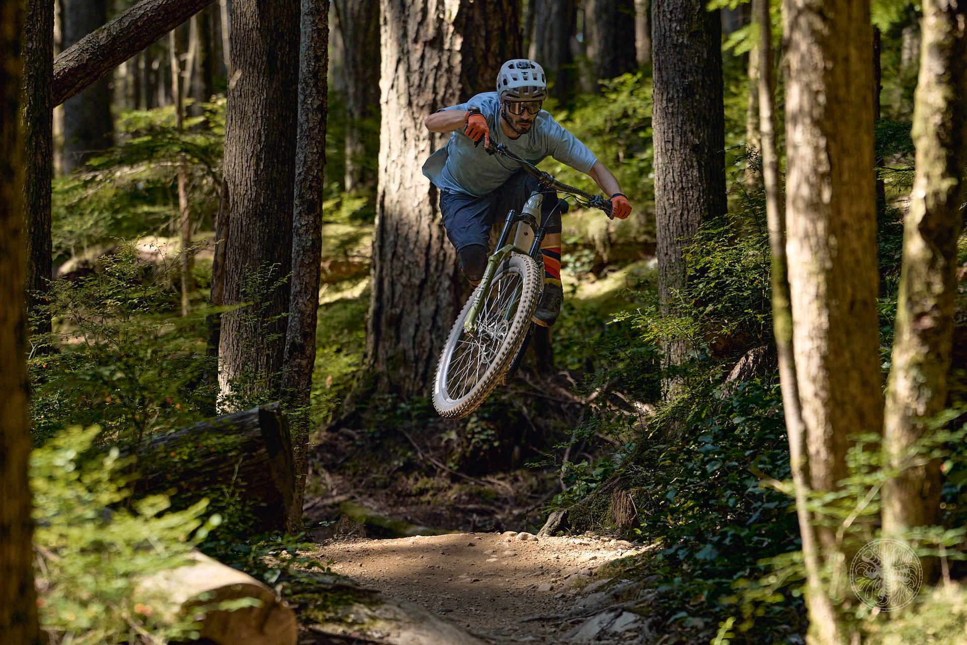 Devinci E-Troy Lite GX AXS Review - NSMB.com