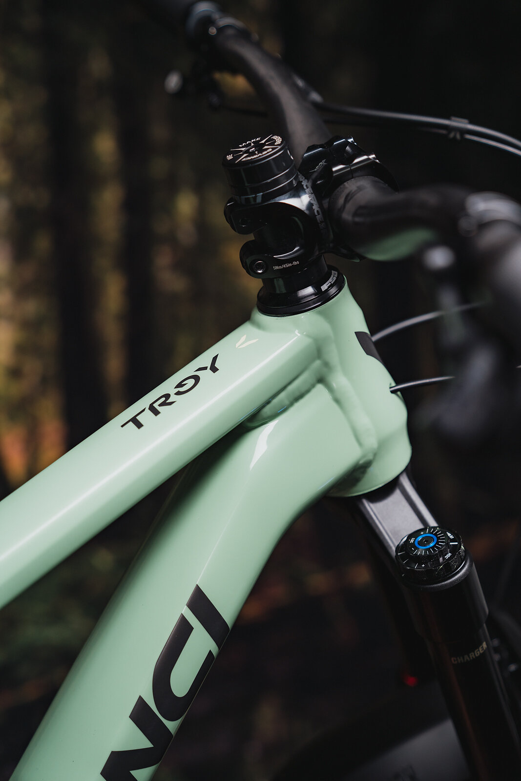 Devinci Troy Bike Review