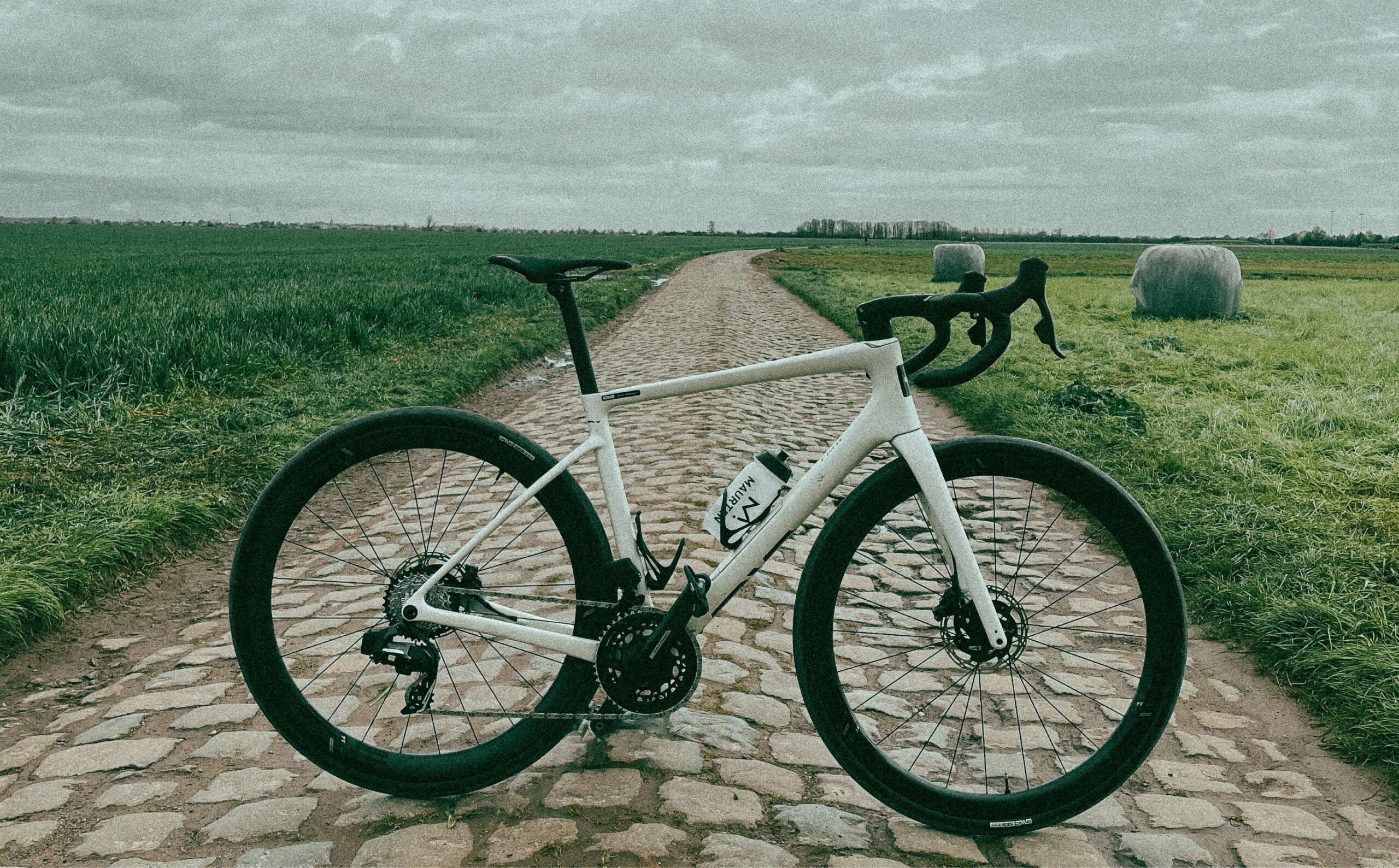 Into the Fray | Nafent Magazine