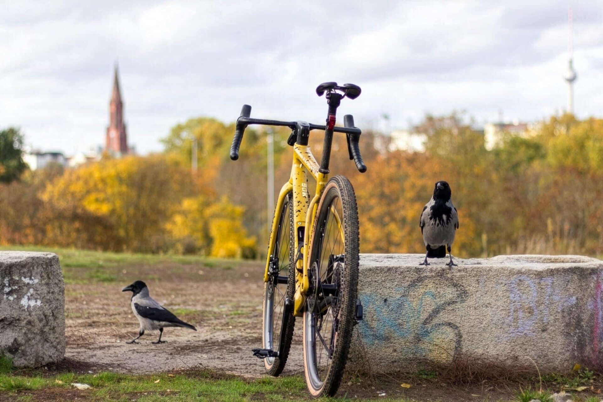 ENVE MOG Gravelbike Im Schotter Test | Gravel Club