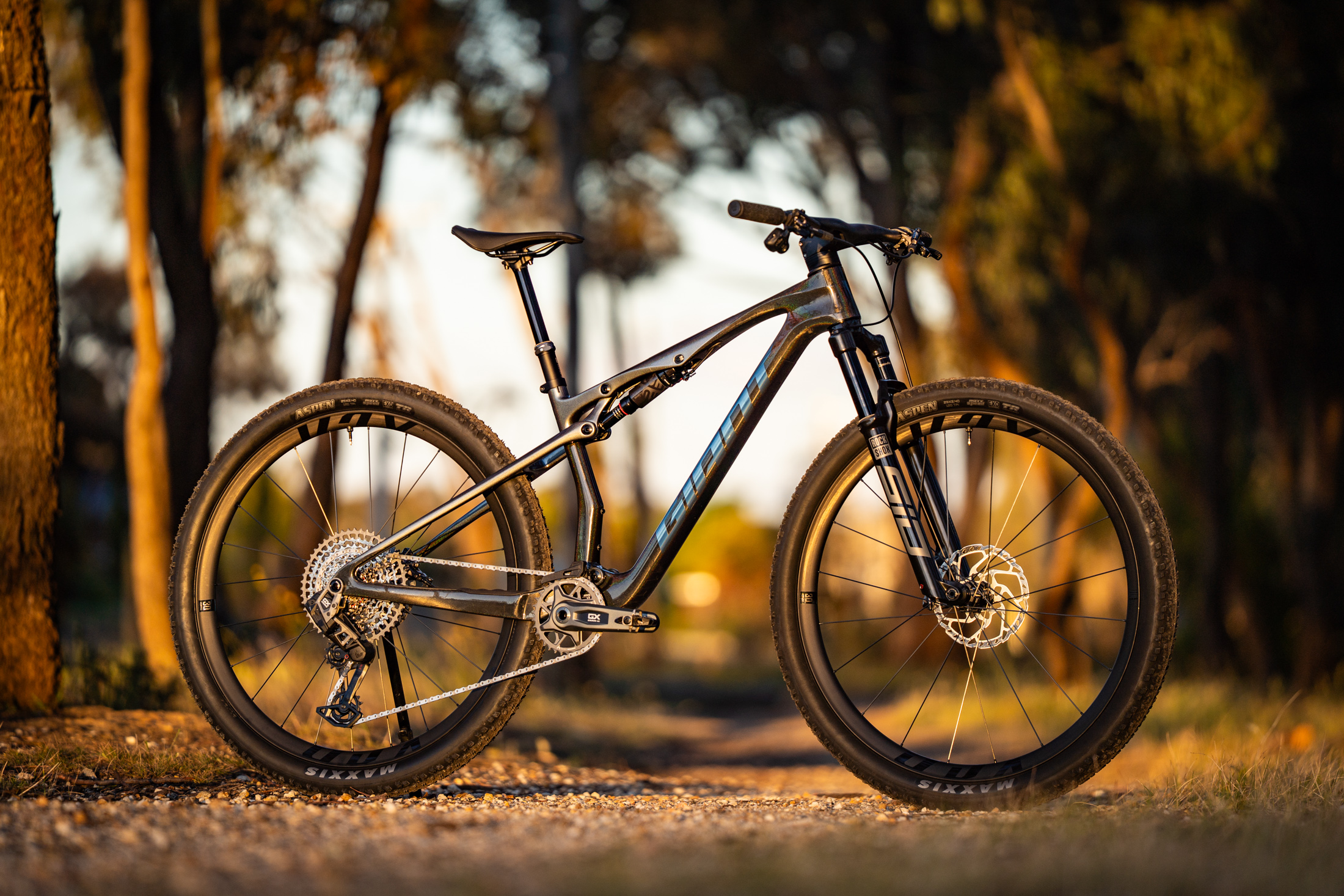 2026 Giant Anthem Advanced SL 1 Review