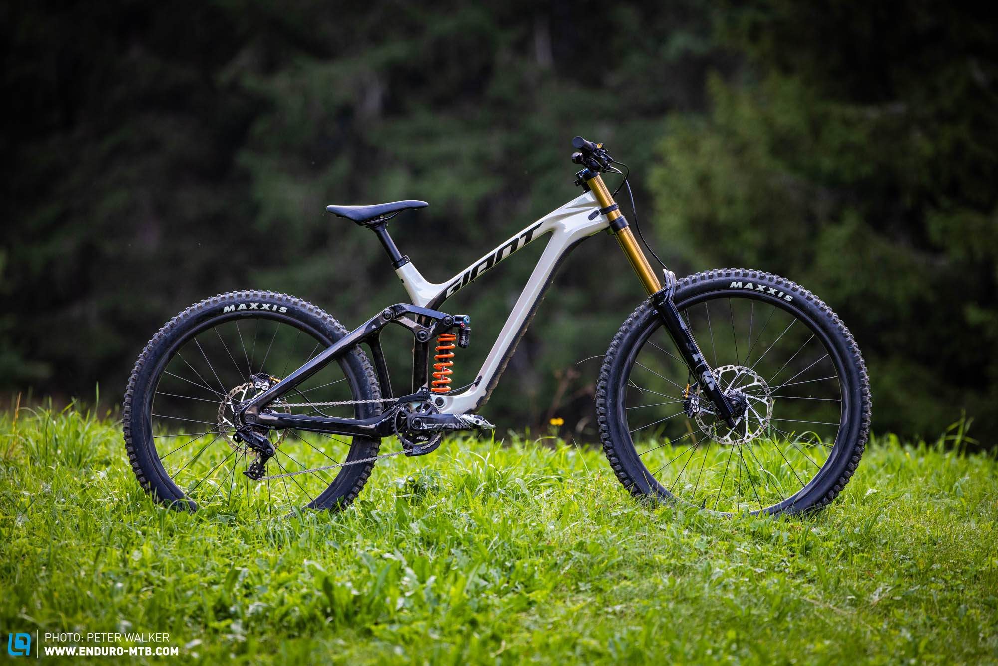 GIANT Glory Advanced – In our 2025 downhill comparison test | ENDURO Mountainbike Magazine