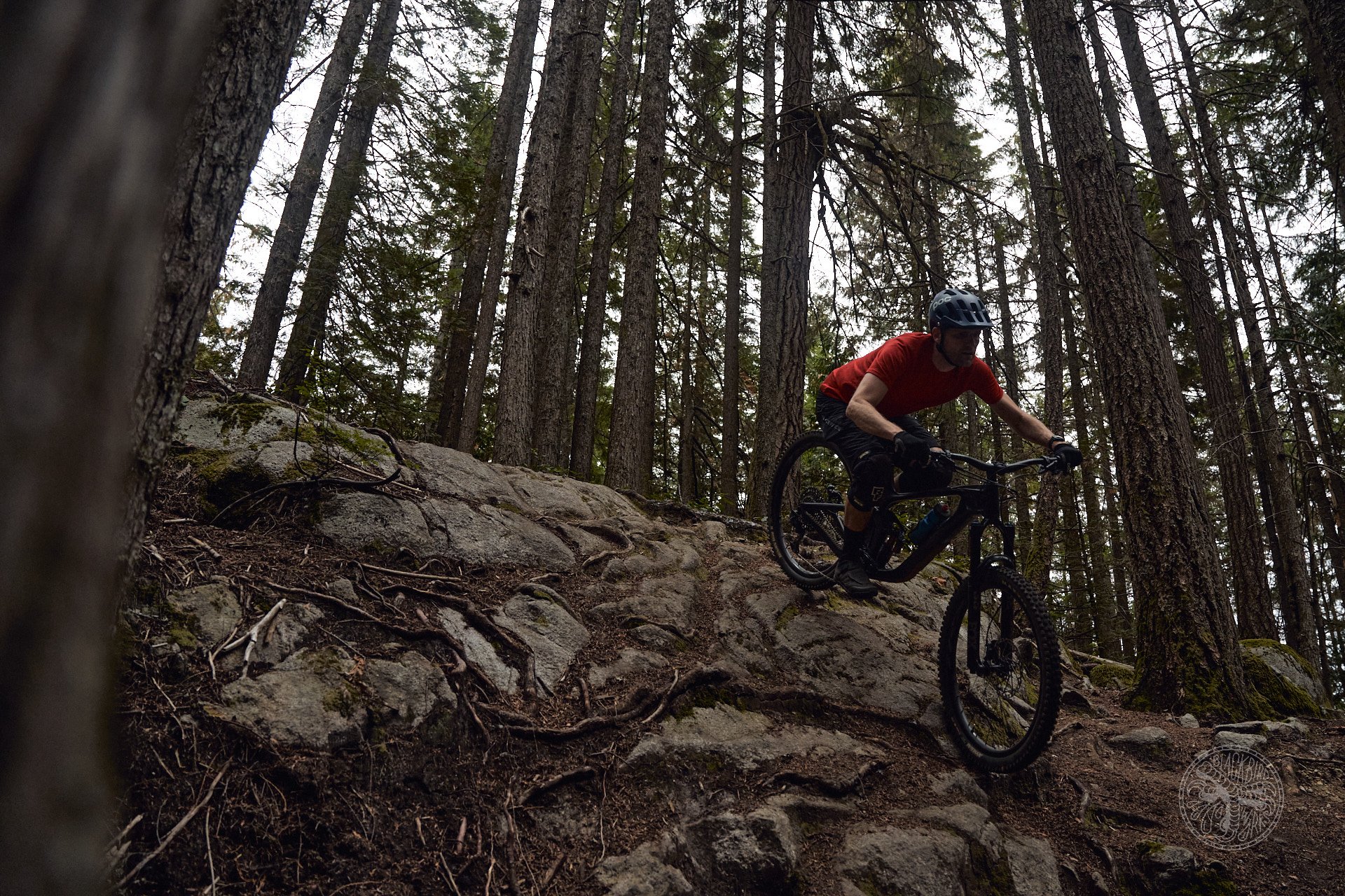 2023 Giant Reign Advanced