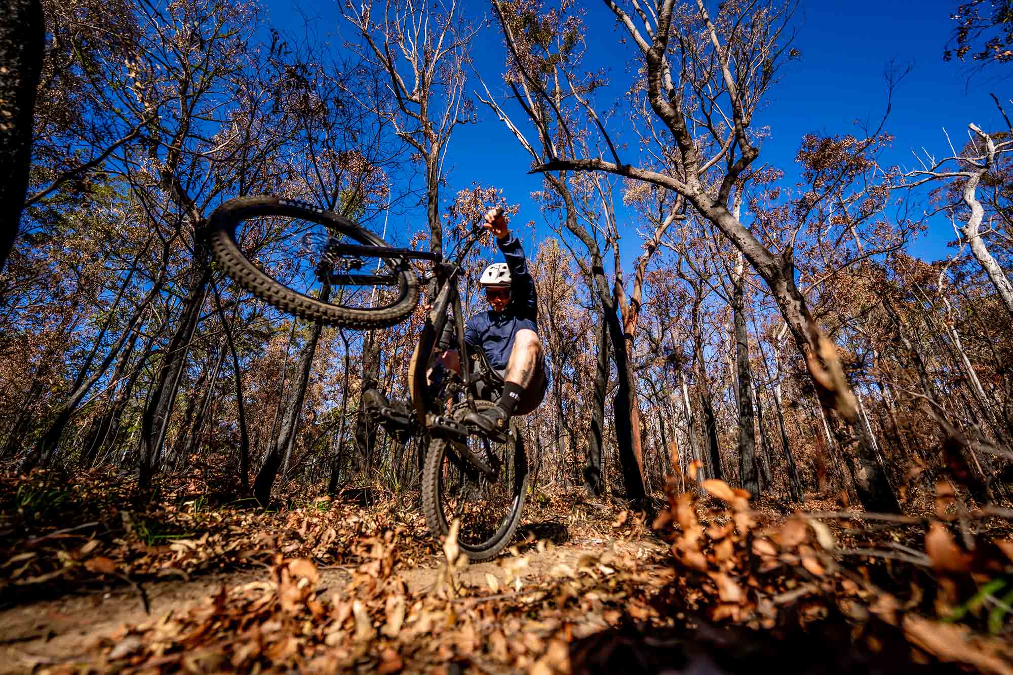 [R]eviewed // Giant Trance X Advanced 1