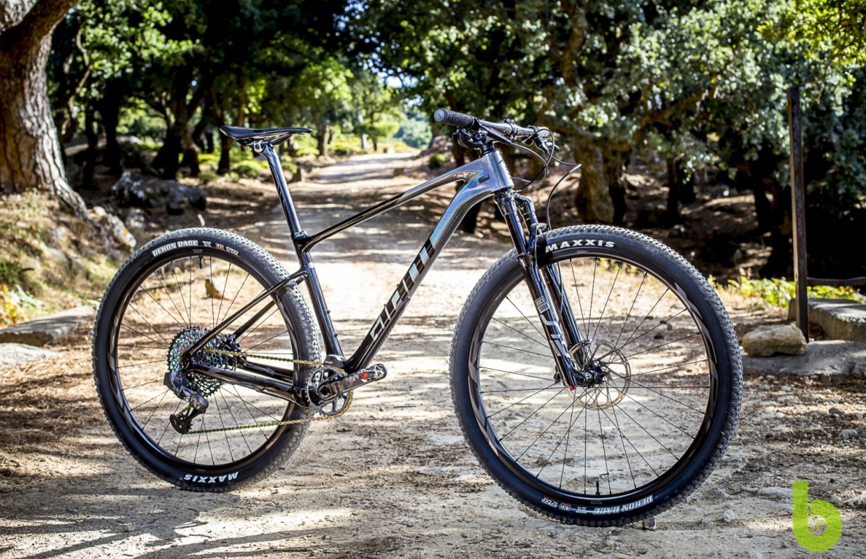 We tested the Giant XTC Advanced SL 29, a hardtail with a lot of character
