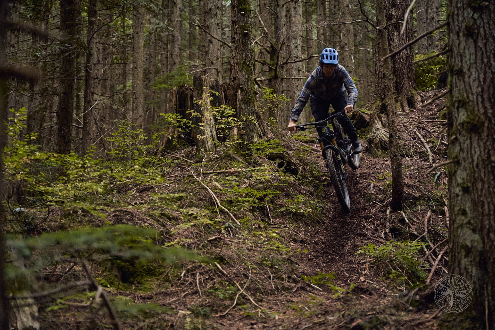 2023 Ibis HD6 Long Term Review