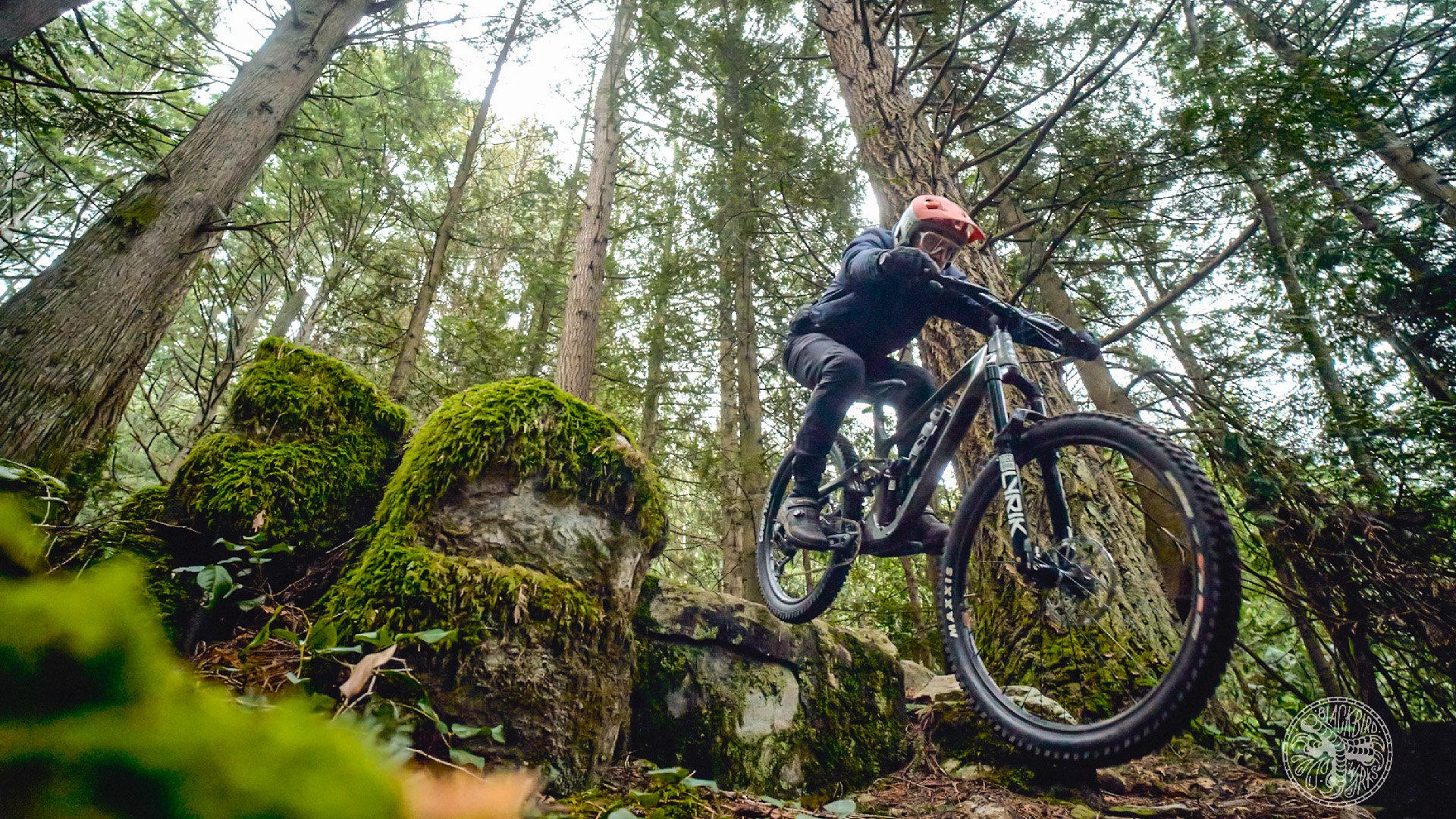 2024 Kona Process 153 CR DL Gen. 3 Review