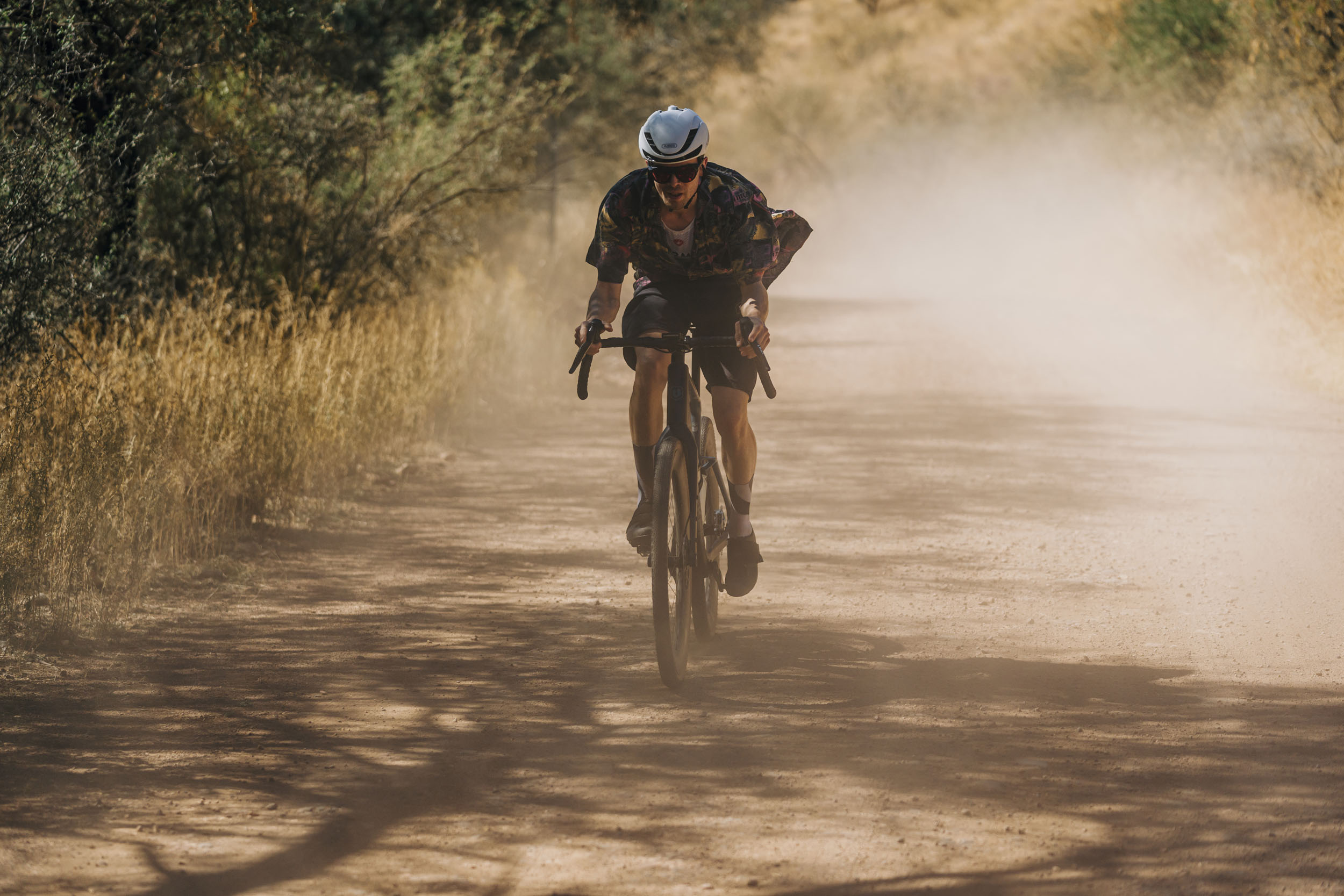 Mondraker Arid Carbon 2025