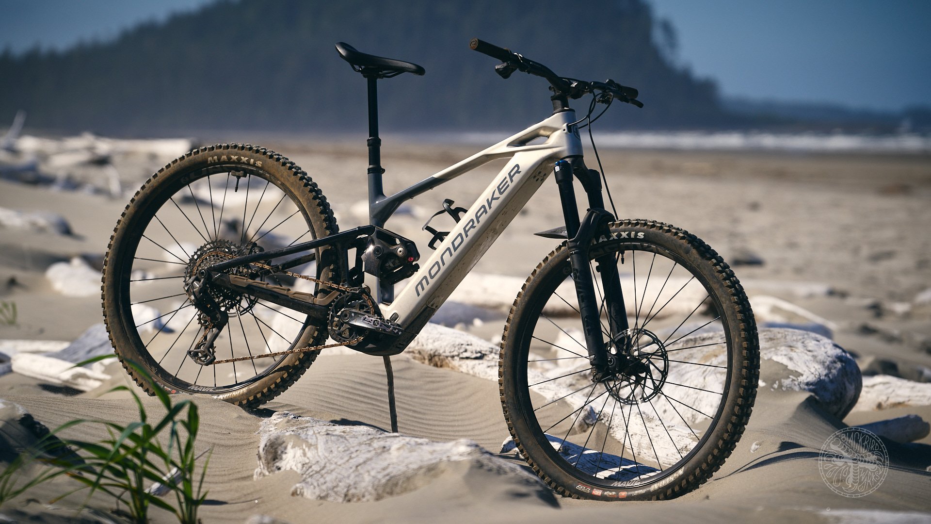 Mondraker Crafty Carbon R Long term Review - NSMB.com