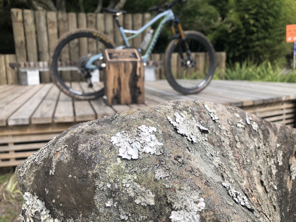 Niner Bikes - RIP 9 RDO Ride review