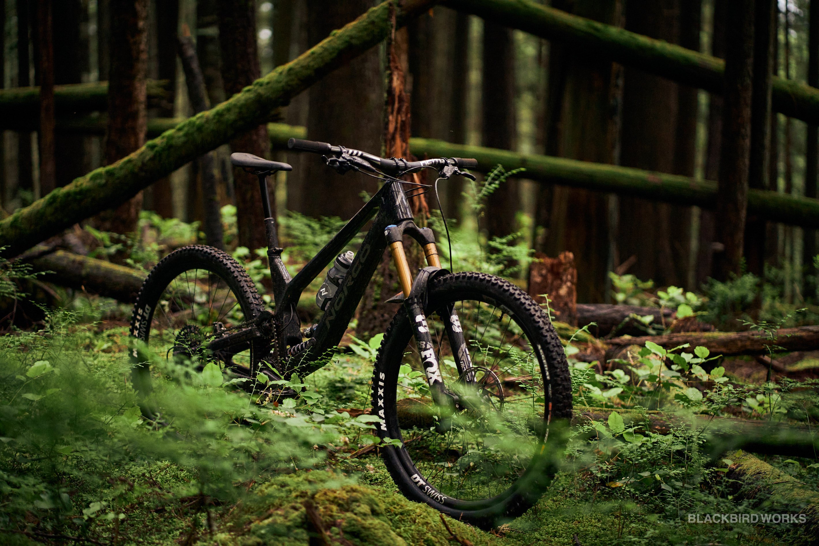 NSMB.com - 2022 Norco Range C1