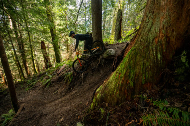 2024 Norco Sight - Blister Review