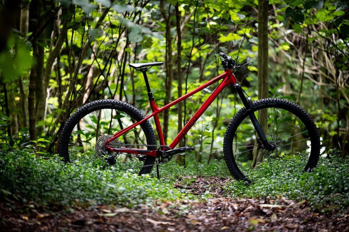 Review: Norco Torrent