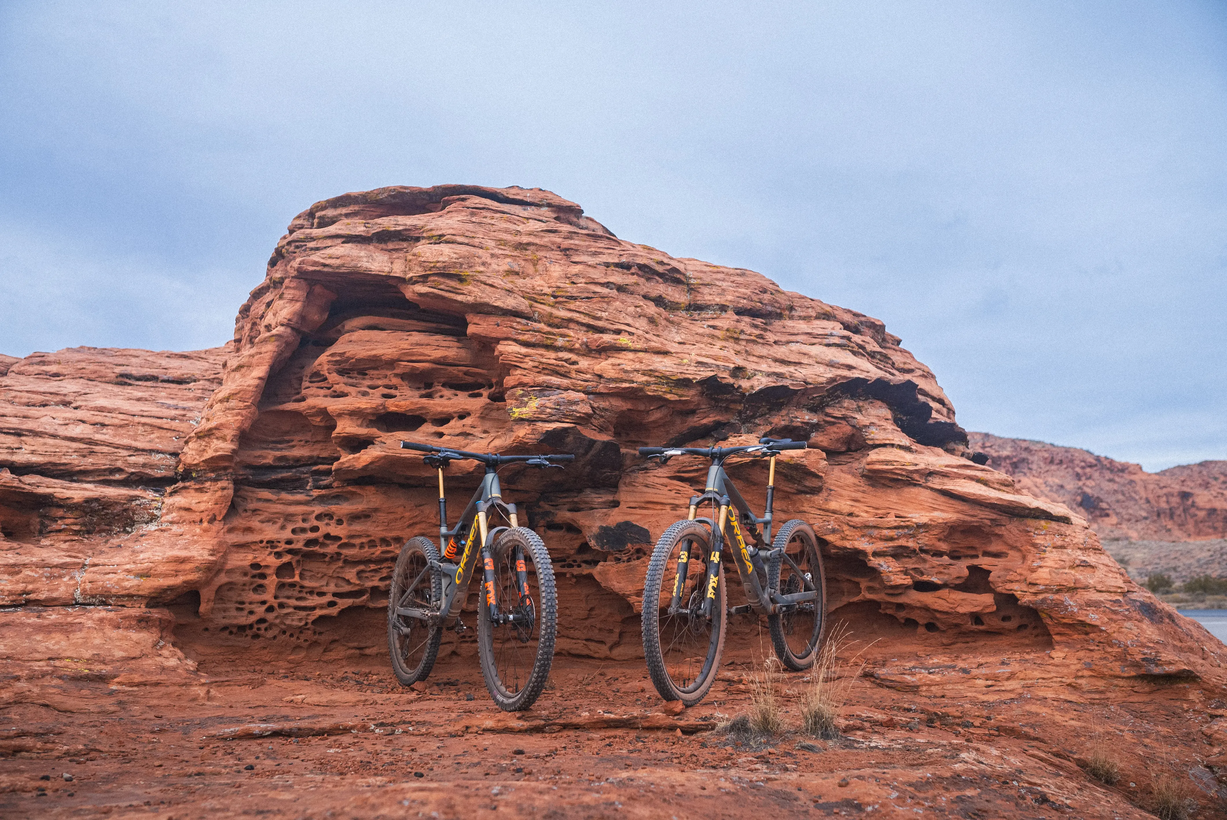 Orbea Occam SL & LT Review: Which one is better?