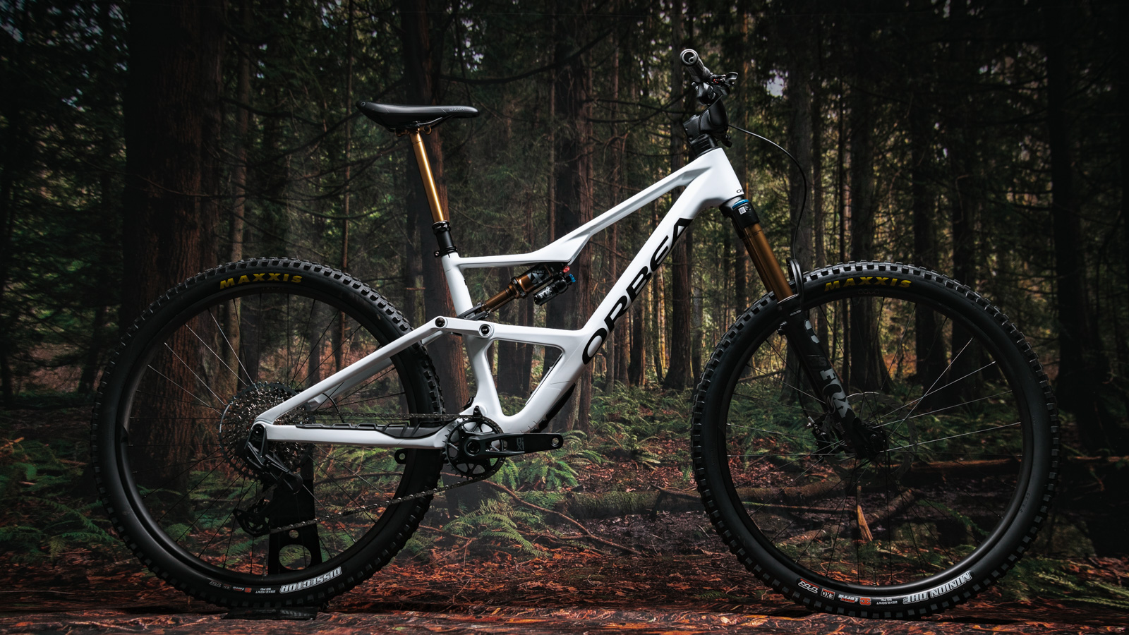 Orbea Occam LT Bike Review