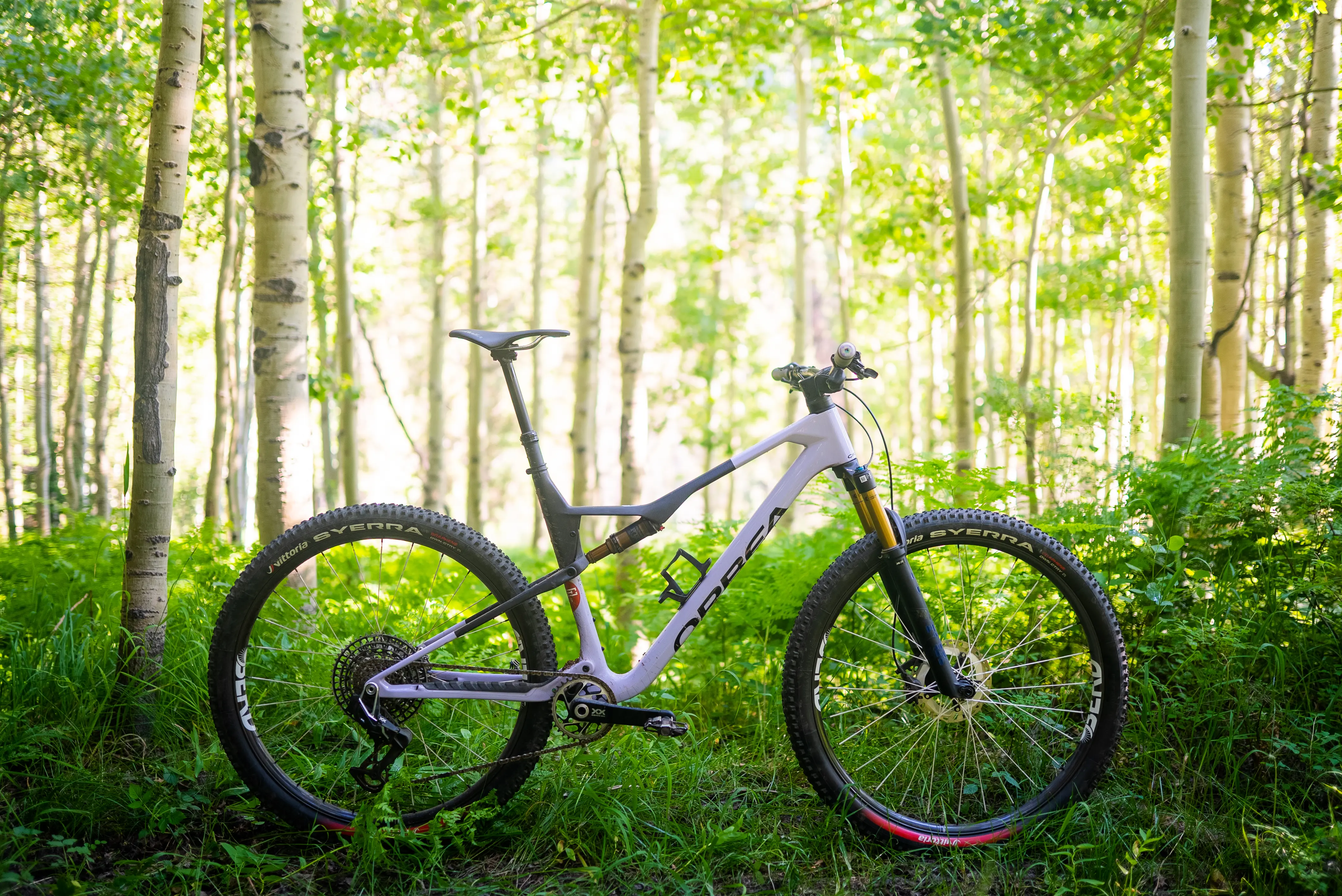 Orbea Oiz Review: XC Showdown
