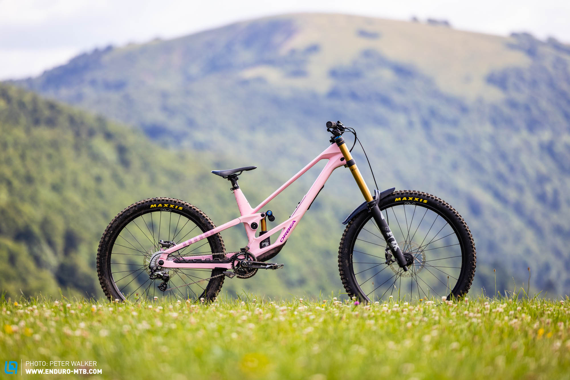 The Orbea Rallon D-LTD – In Our Group Test for the Best Bike Park Bike of 2025