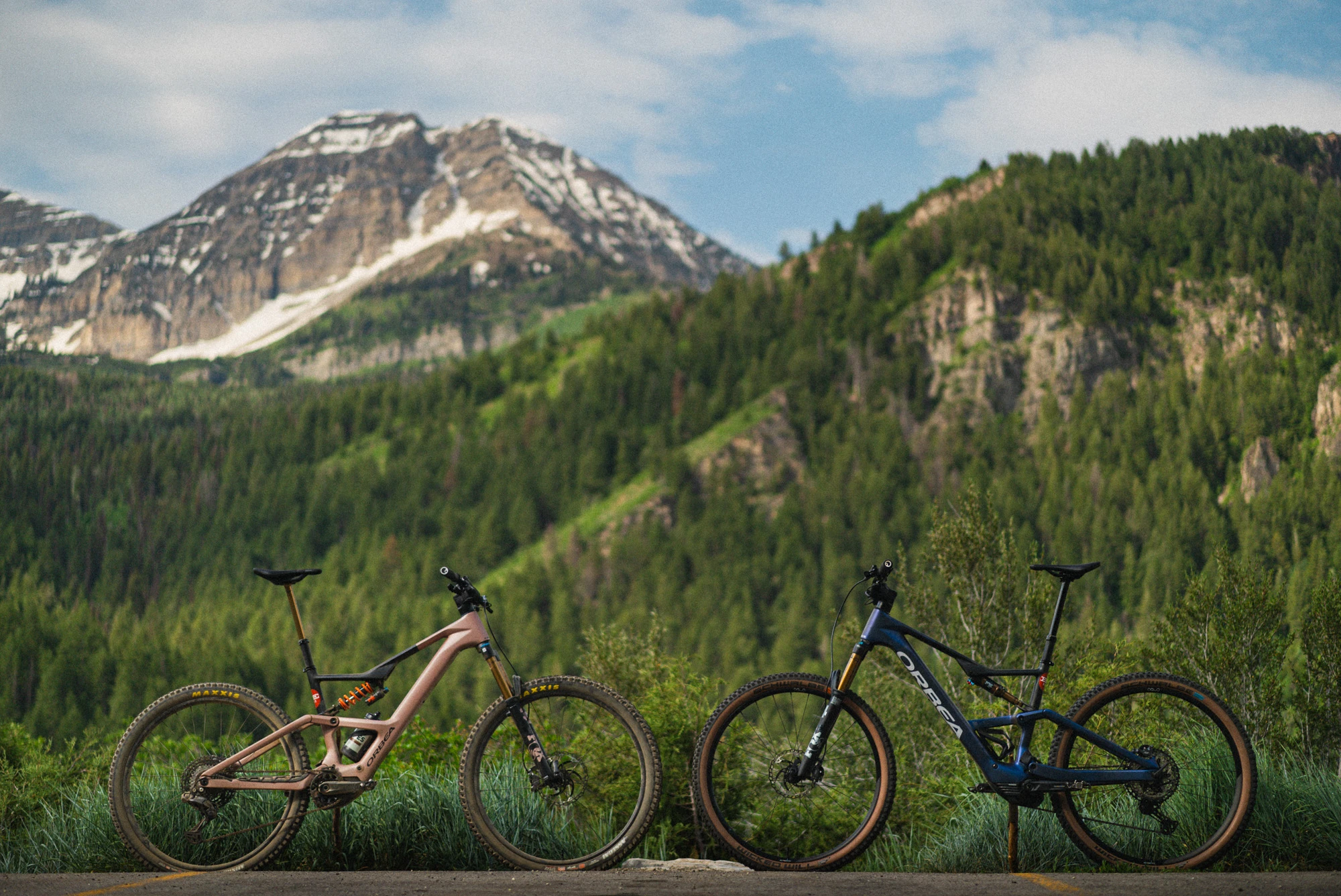 2025 Orbea Rise SL & LT - BIKER'S EDGE