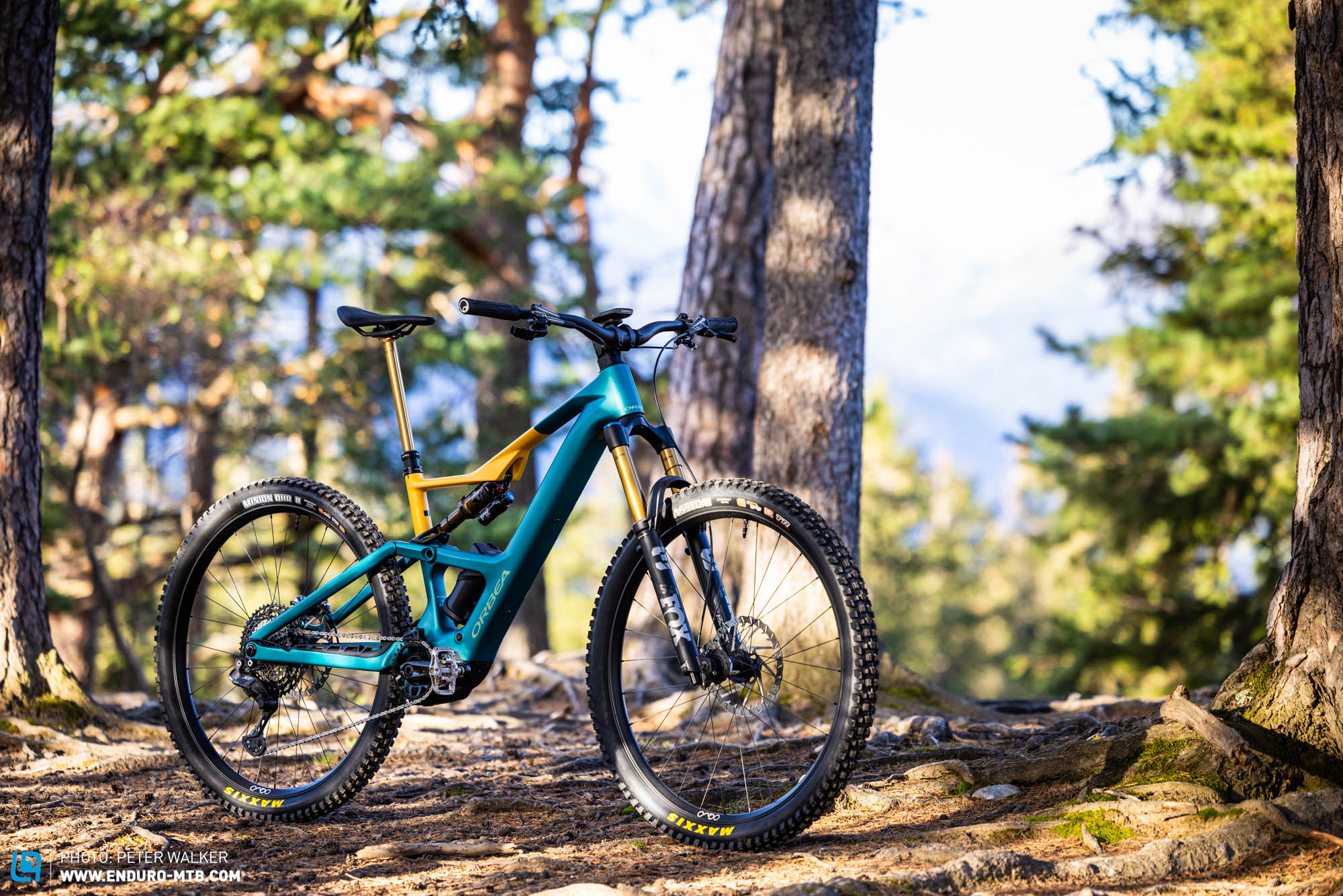 Orbea Rise LT – In our big 2025 trail bike comparison test | ENDURO Mountainbike Magazine