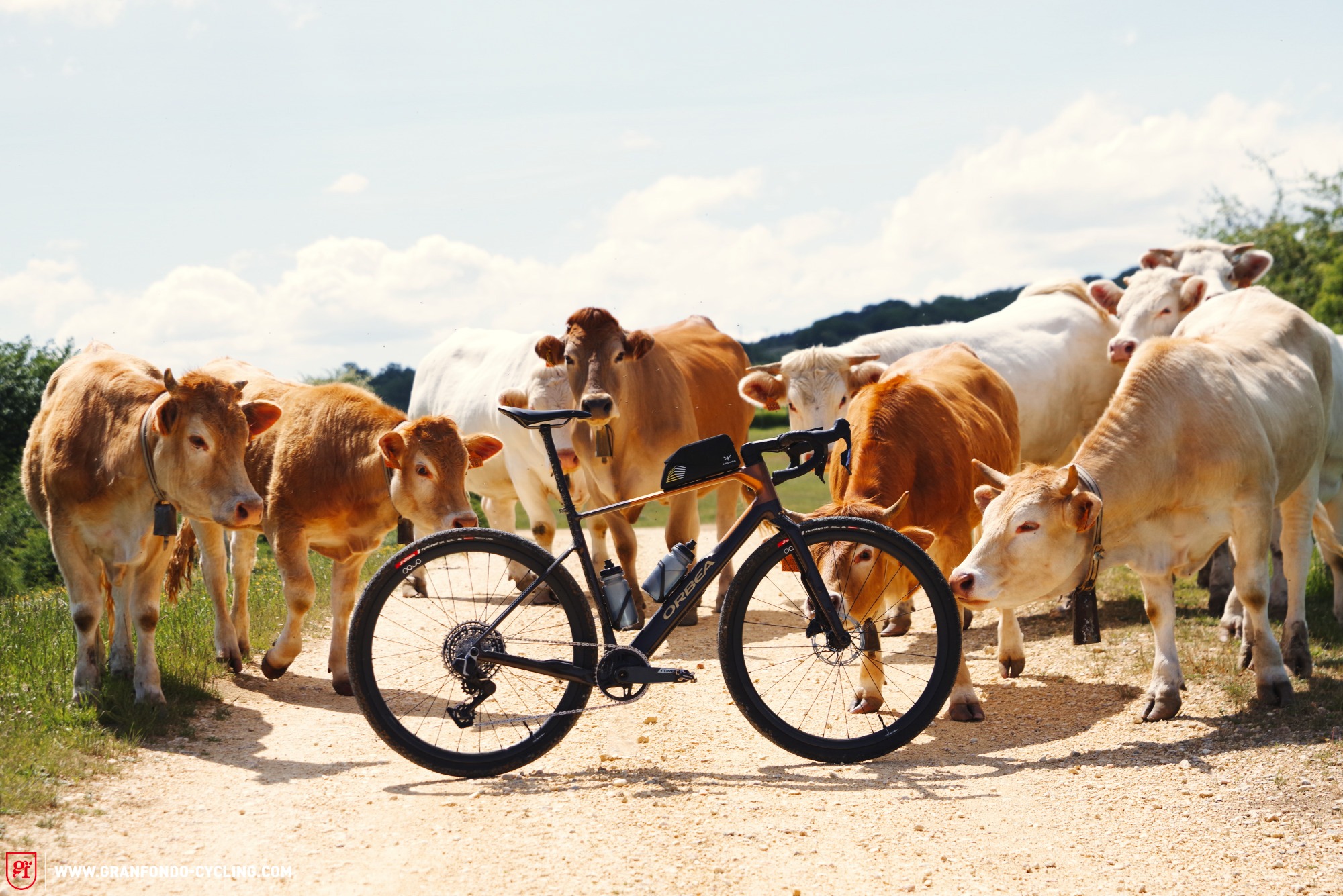 First Ride Review: 2026 Orbea Terra Gravel Bike – Aventura, Aventura! | GRAN FONDO Cycling Magazine