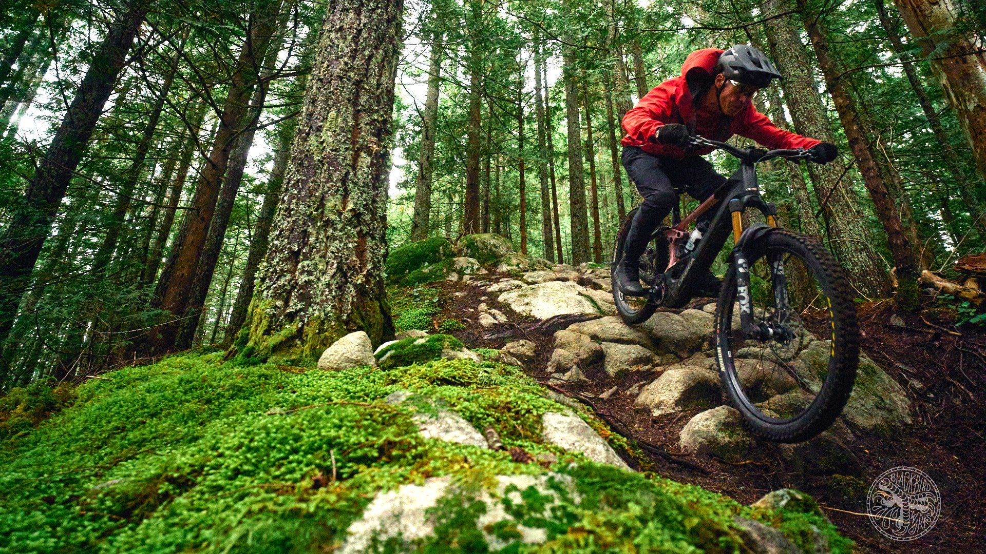 2025 Orbea Wild eMTB Long Term Review - NSMB.com