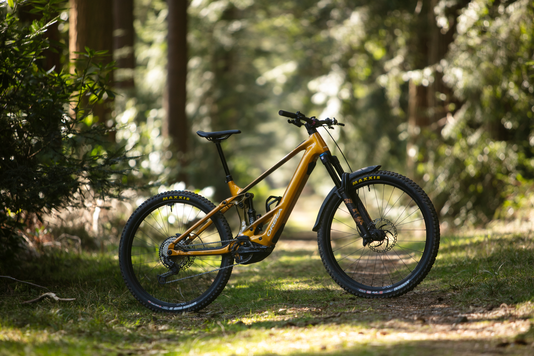 Orbea Wild H10 e-MTB review - Cycling News | off-road.cc