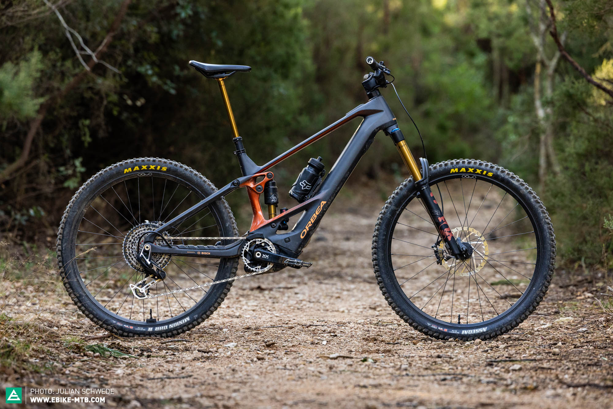 Das beste E-Mountainbike 2025? Orbea WILD M-LTD im E-Mountainbike-Test | E-MOUNTAINBIKE Magazine