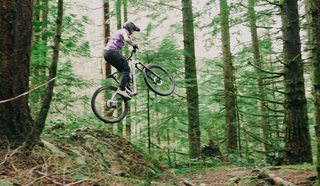 Introducing the NEW Pivot Firebird: The Egg Didn't Fall Far ...