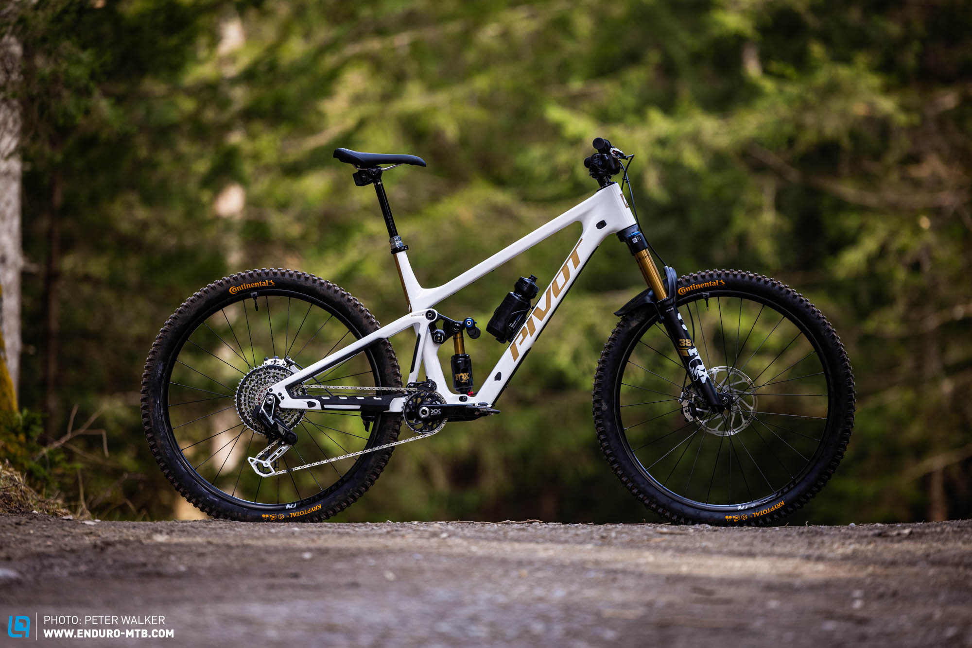 The new 2025 Pivot Firebird On Test – The Turbo Toucan