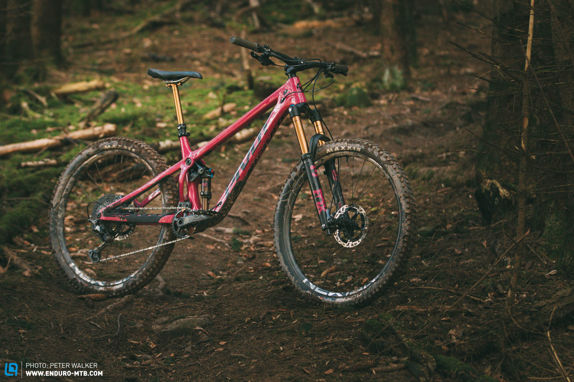 2022 Pivot Shadowcat Team XTR – Capable trail wonder ...