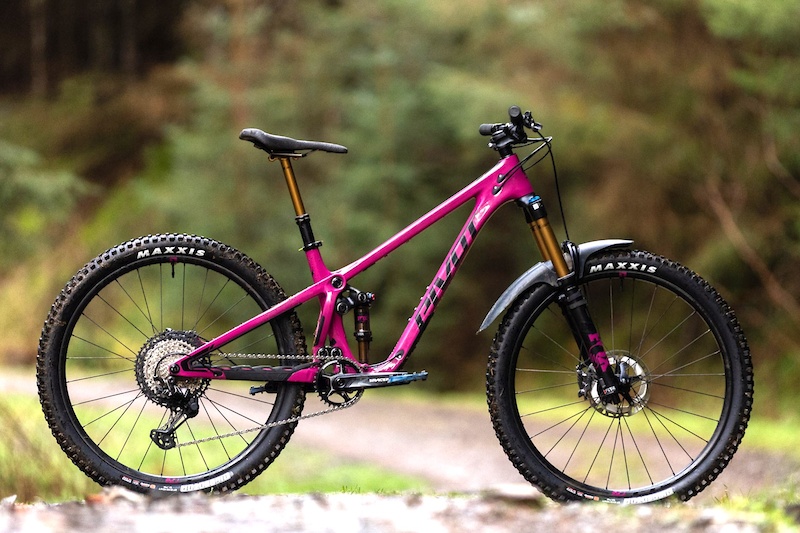 Review: The Pivot Shadowcat is Niche & Nimble