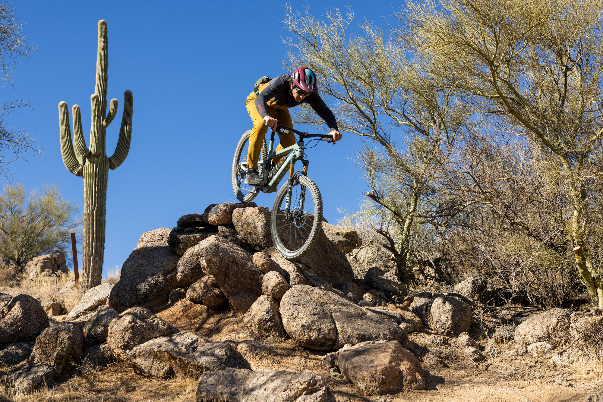 Pivot Trailcat SL and Trailcat LT First-Ride Review: Meow