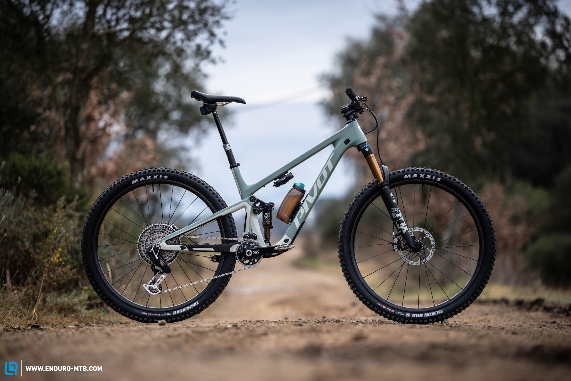 New 2025 Pivot Trailcat on review – Double Trouble