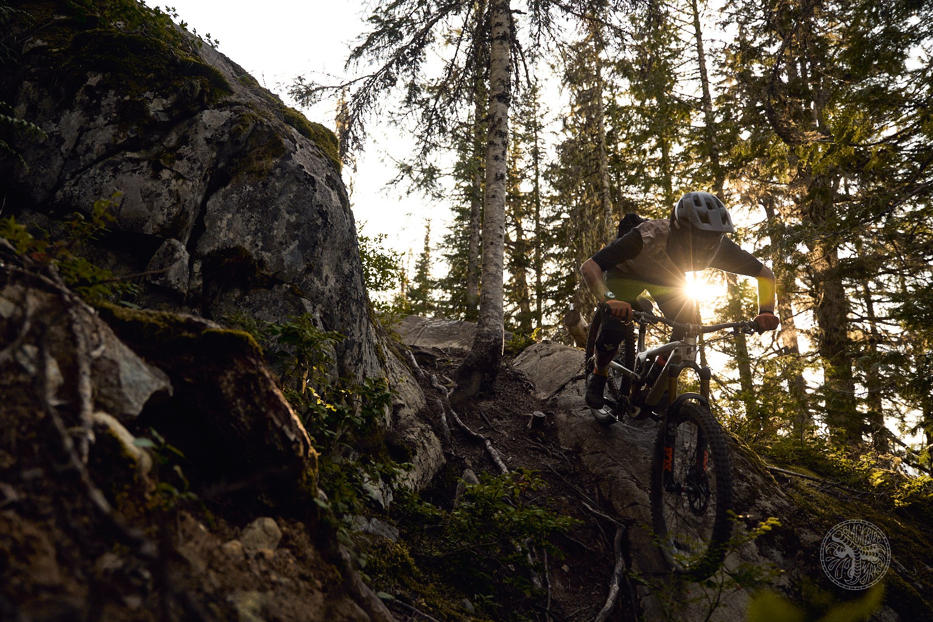 The 2025 Propain Spindrift 5 AL Factory