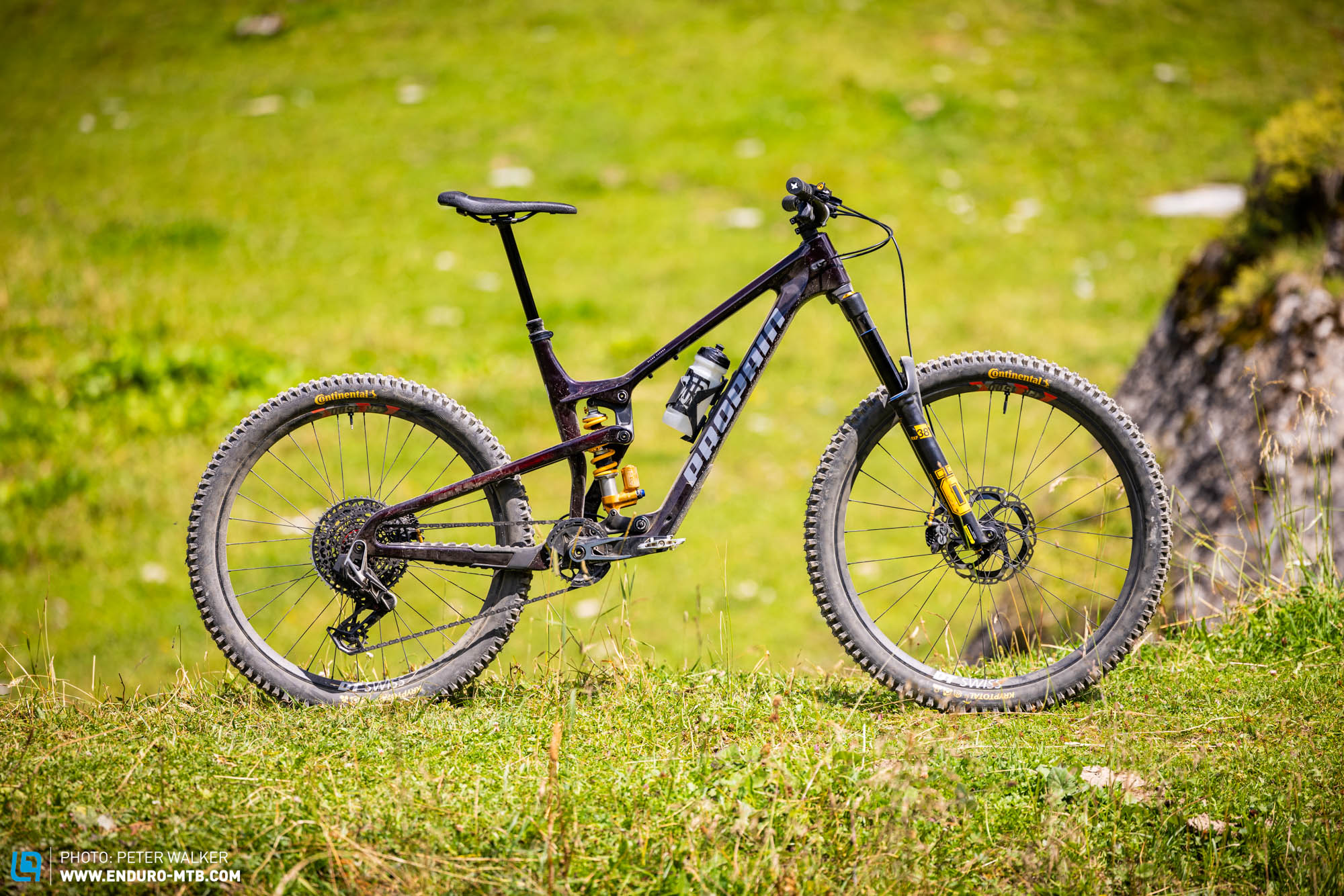 First ride on the new 2025 Propain Spindrift 5