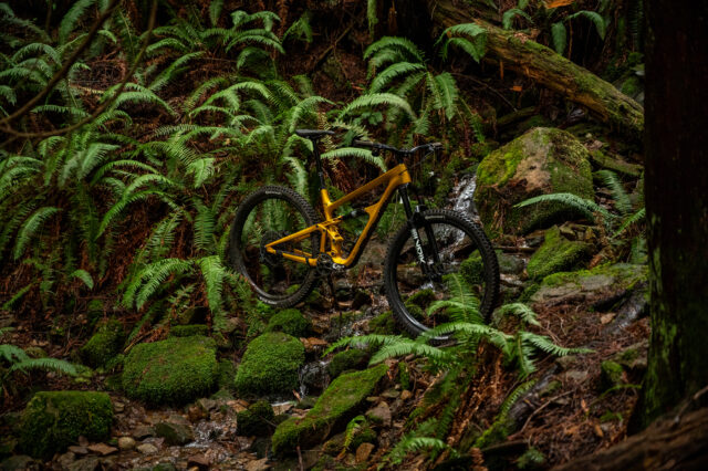 Revel Rascal V2 - Blister Review